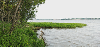 Покровские Горки